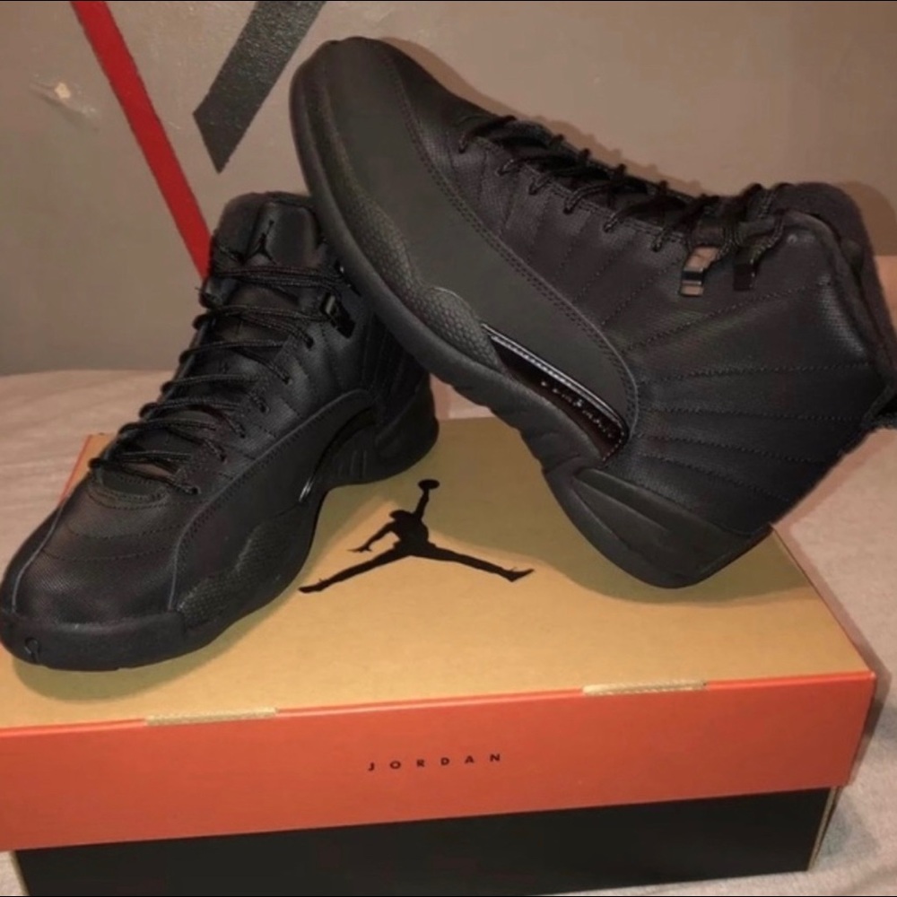 Air Jordan 12 Winterized